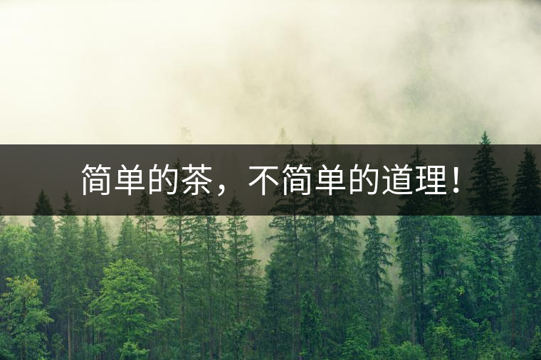 簡單的茶，不簡單的道理！