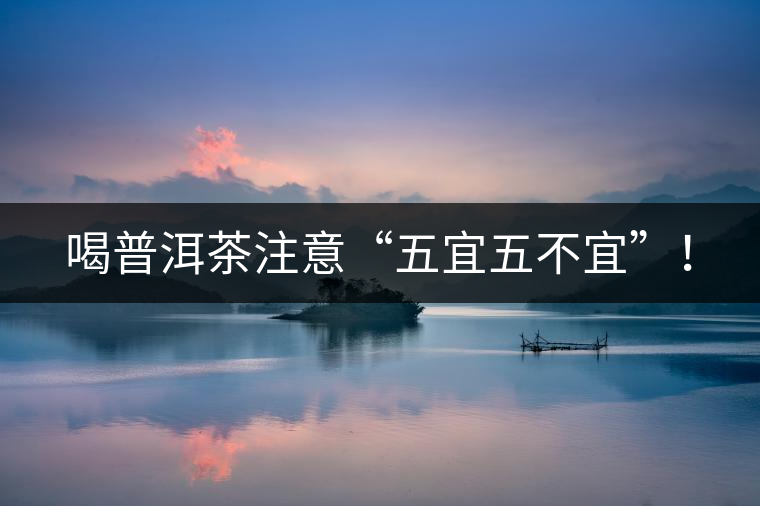 喝普洱茶注意“五宜五不宜”！