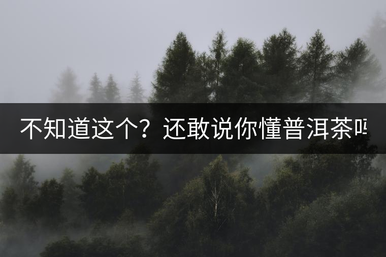 不知道這個？還敢說你懂普洱茶嗎？
