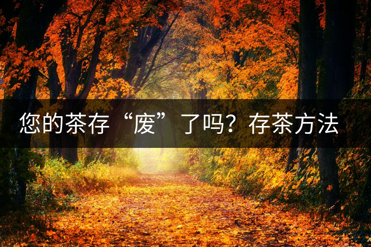 您的茶存“廢”了嗎？存茶方法與技巧，把香留??！