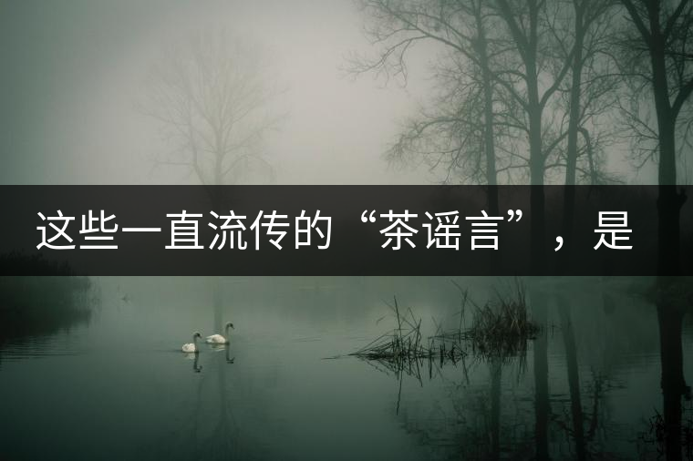 這些一直流傳的“茶謠言”,是時候知道真相了 這些一直流傳的“茶謠言”,是時候知道真相了