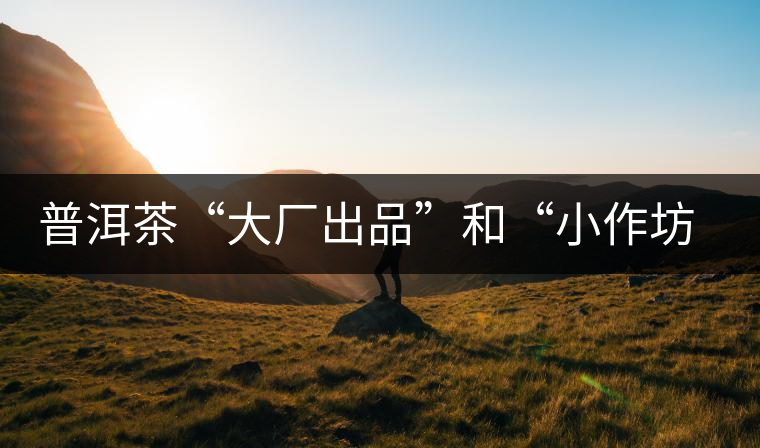 普洱茶“大廠出品”和“小作坊”，哪一個(gè)更值得購(gòu)買(mǎi)？