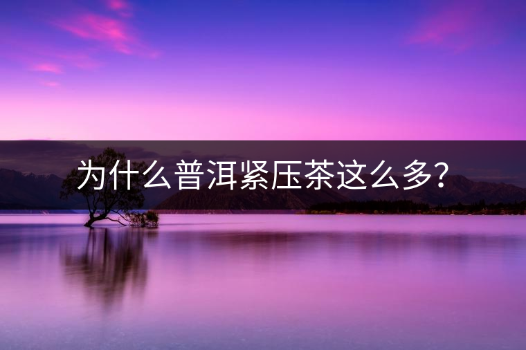 為什么普洱緊壓茶這么多？