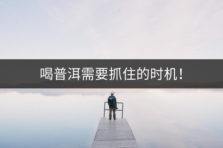 喝普洱需要抓住的時機(jī)！