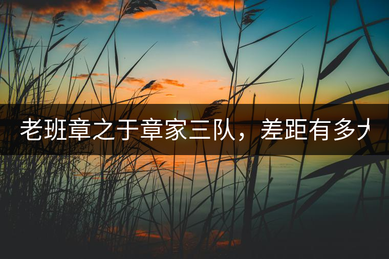 老班章之于章家三隊(duì)，差距有多大？