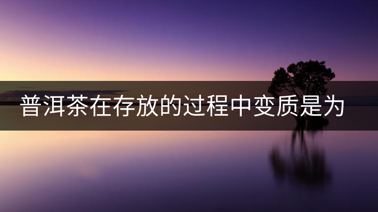 普洱茶在存放的過程中變質(zhì)是為什么？