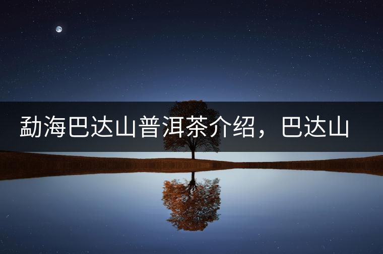 勐海巴達(dá)山普洱茶介紹，巴達(dá)山古樹茶口感特點(diǎn)