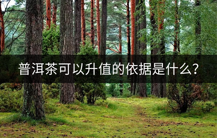 普洱茶可以升值的依據(jù)是什么？