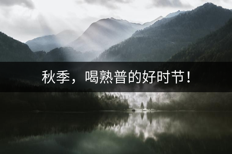 秋季，喝熟普的好時(shí)節(jié)！