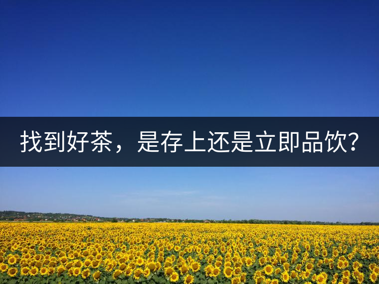 找到好茶，是存上還是立即品飲？