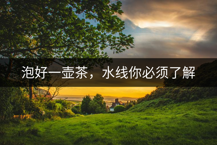 泡好一壺茶，水線你必須了解