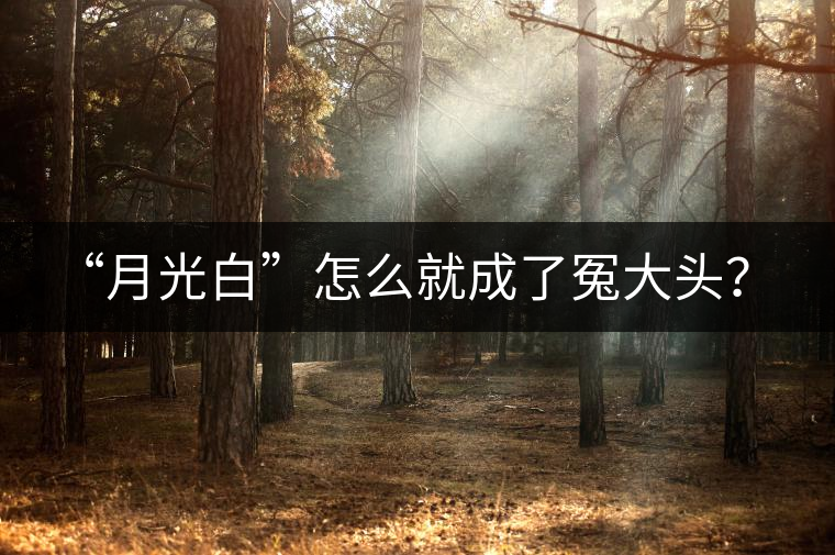 “月光白”怎么就成了冤大頭？