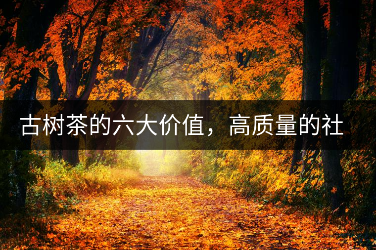 古樹茶的六大價值，高質(zhì)量的社交都離不開古樹茶