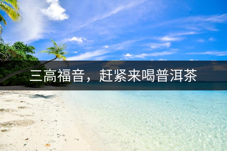 三高福音,趕緊來喝普洱茶 三高福音,趕緊來喝普洱茶