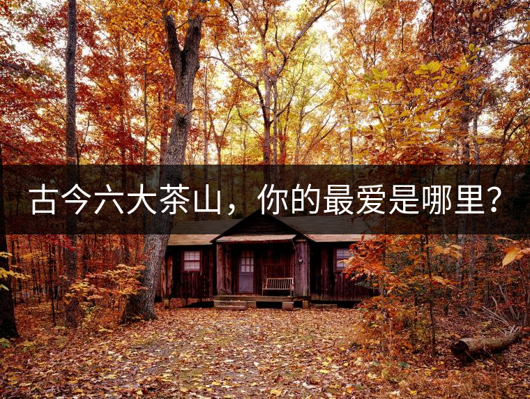 古今六大茶山，你的最愛是哪里？