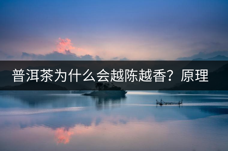 普洱茶為什么會(huì)越陳越香？原理是什么？