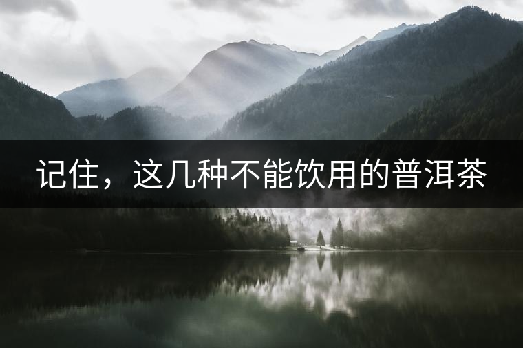 記住，這幾種不能飲用的普洱茶