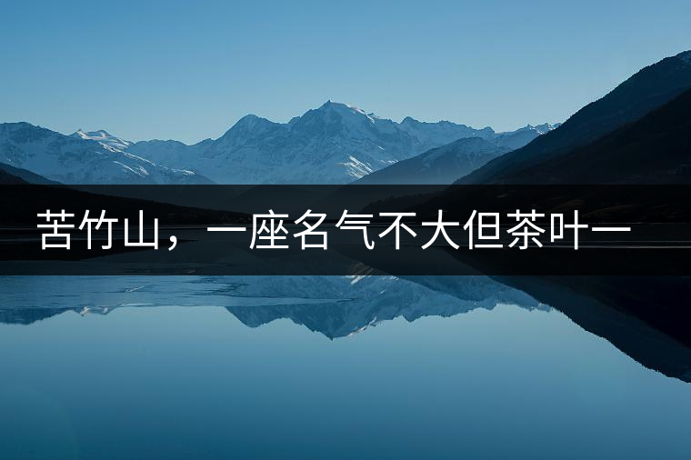 苦竹山，一座名氣不大但茶葉一流的古茶山