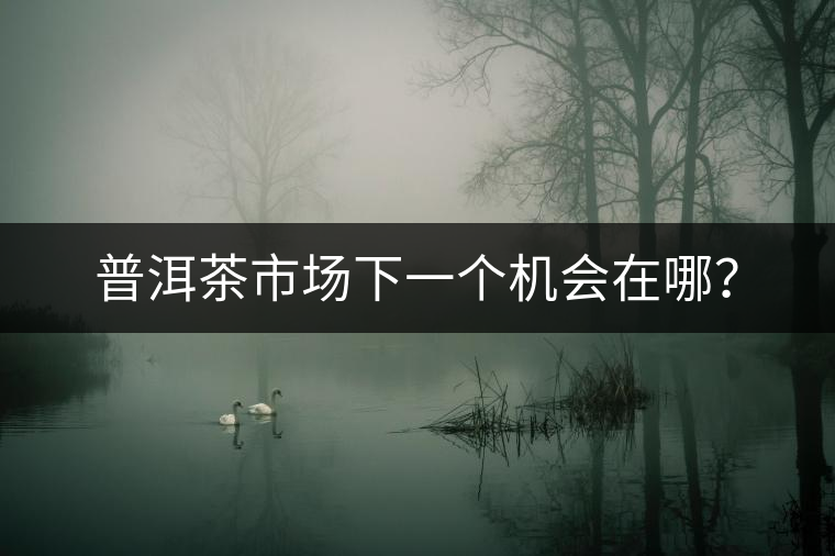 普洱茶市場下一個機會在哪？