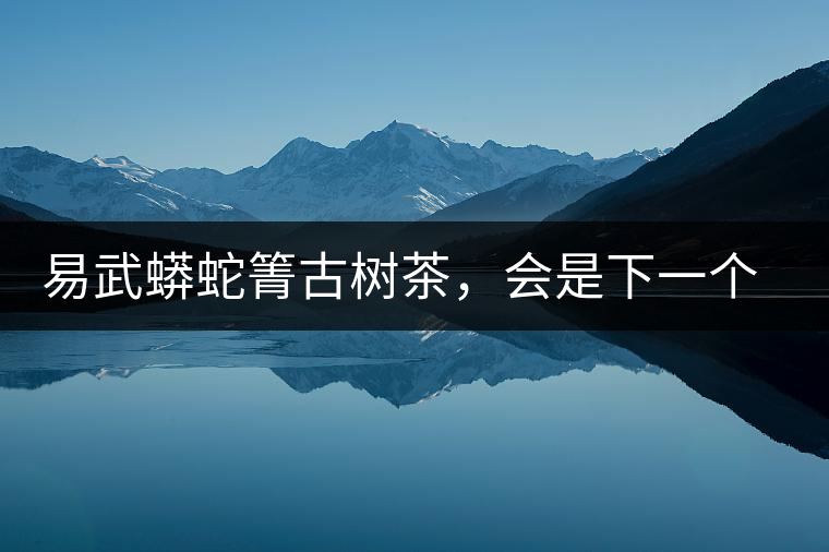 易武蟒蛇箐古樹茶，會是下一個銅箐河嗎？