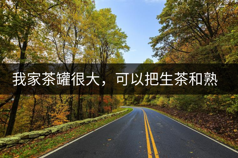 我家茶罐很大，可以把生茶和熟茶，放在一起儲(chǔ)存嗎？