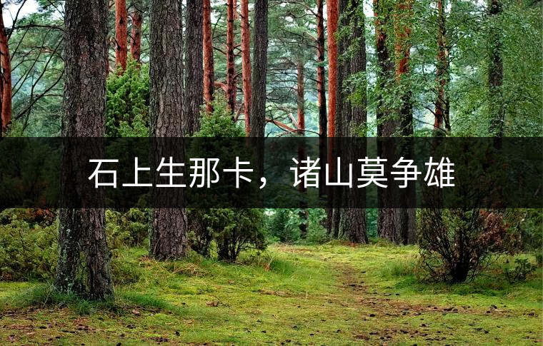 石上生那卡，諸山莫爭雄