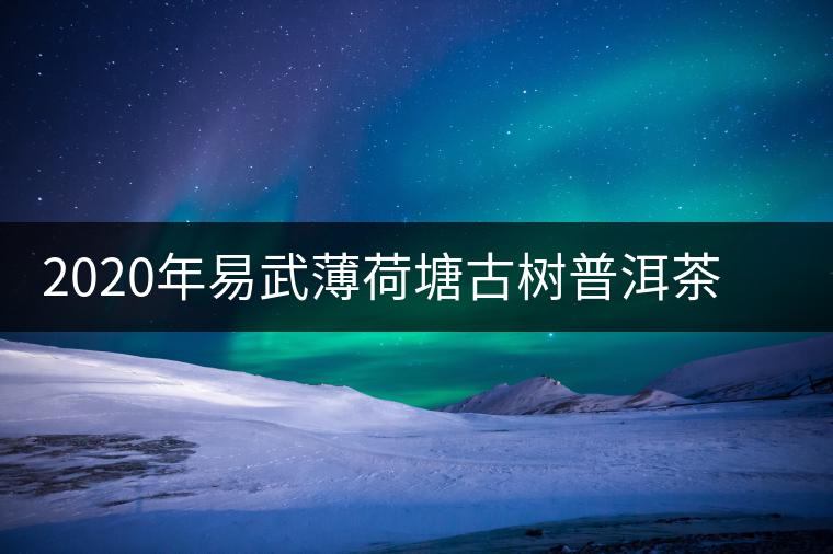 2020年易武薄荷塘古樹普洱茶特點，價格又上漲了嗎？
