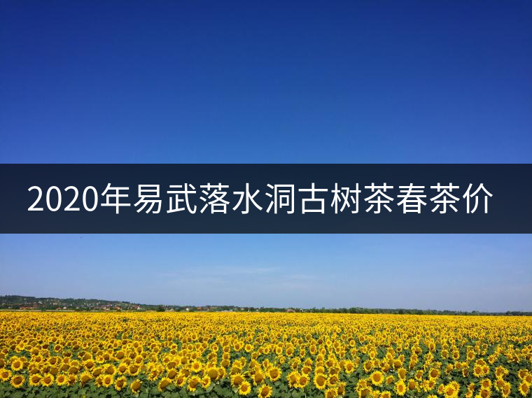 2020年易武落水洞古樹茶春茶價(jià)格和特點(diǎn) 2020年易武落水洞古樹茶春茶價(jià)格和特點(diǎn)
