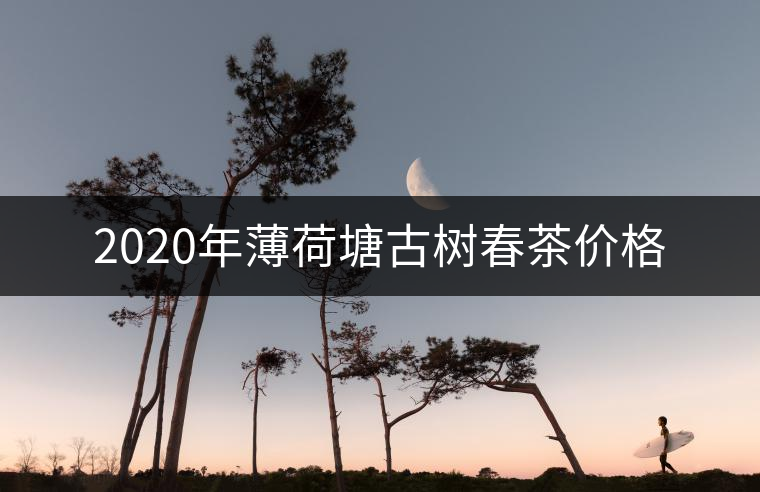2020年薄荷塘古樹春茶價格