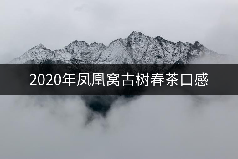 2020年鳳凰窩古樹(shù)春茶口感