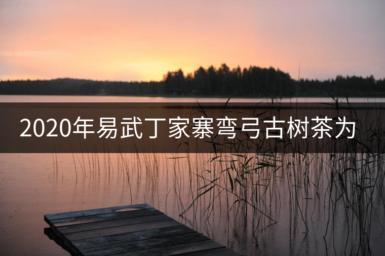 2020年易武丁家寨彎弓古樹茶為什么這么受追捧！