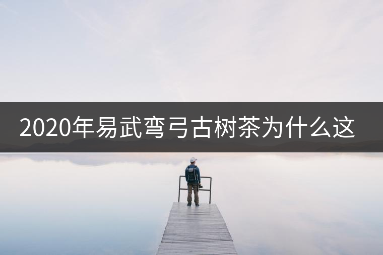 2020年易武彎弓古樹茶為什么這么貴？