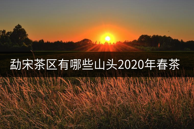 勐宋茶區(qū)有哪些山頭2020年春茶價格？