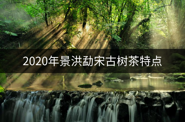 2020年景洪勐宋古樹茶特點(diǎn)