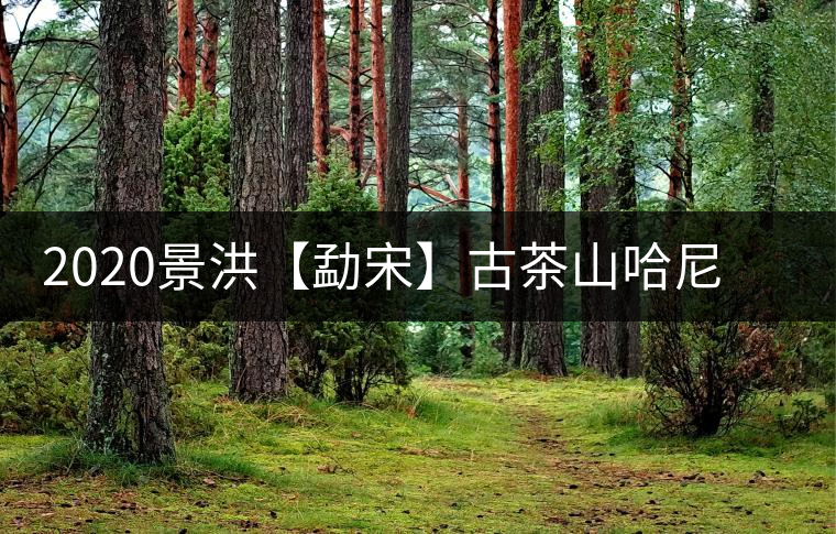 2020景洪【勐宋】古茶山哈尼年“嘎湯帕”圓滿結(jié)束，我們明年見
