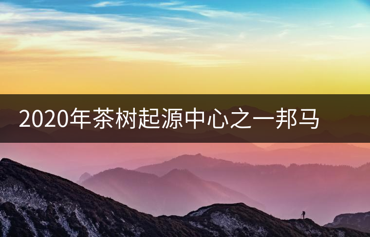 2020年茶樹(shù)起源中心之一邦馬大雪山上有哪些神秘的村寨？
