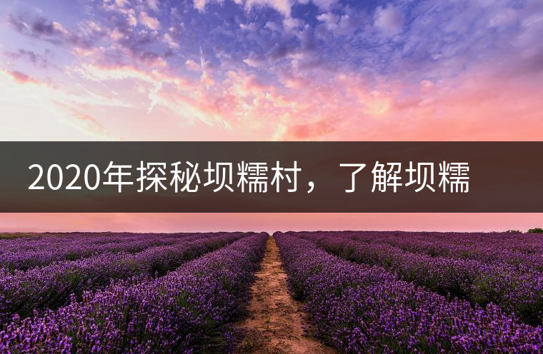 2020年探秘壩糯村，了解壩糯藤條茶的真相