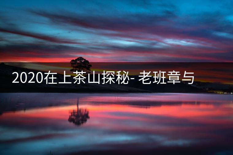 2020在上茶山探秘- 老班章與新班章，一母所生，一念之間，際遇迥異