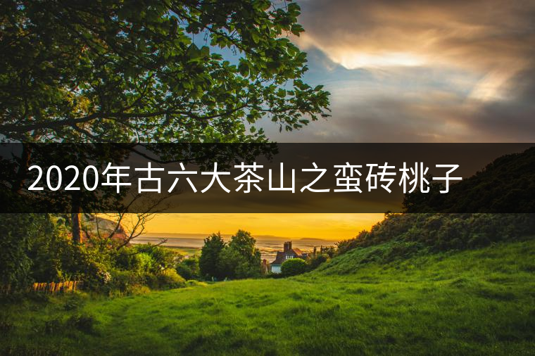 2020年古六大茶山之蠻磚桃子寨古樹茶，瓦龍古樹茶口感與特點(diǎn)