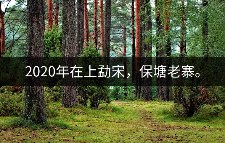 2020年在上勐宋，保塘老寨。