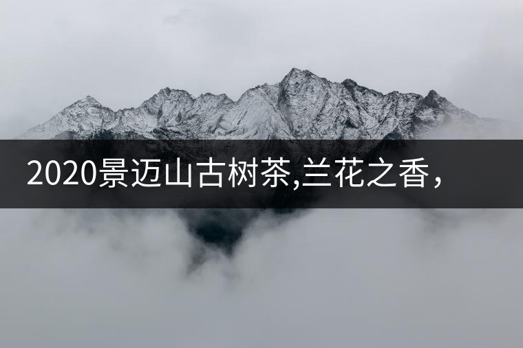 2020景邁山古樹茶,蘭花之香，自然之味