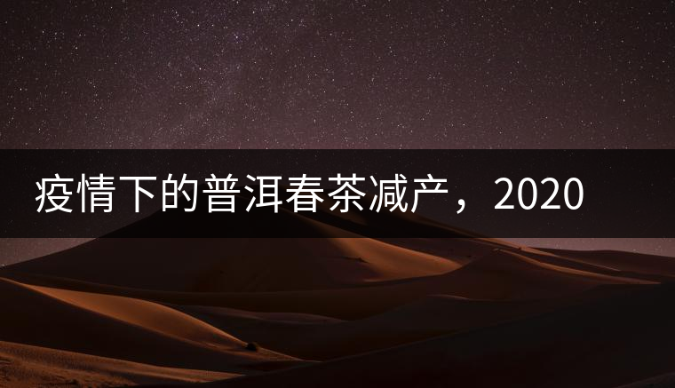 疫情下的普洱春茶減產(chǎn)，2020年價格“兩極分化”或成常態(tài)？