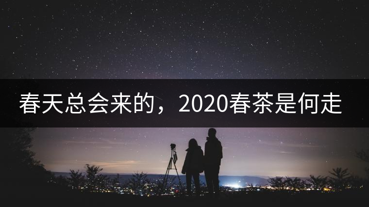 春天總會(huì)來(lái)的，2020春茶是何走勢(shì)？