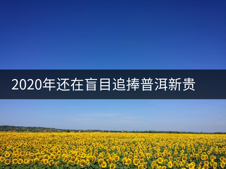 2020年還在盲目追捧普洱新貴“貓耳朵”？我們深入產(chǎn)區(qū)為你揭示最真實(shí)的“貓耳朵”！