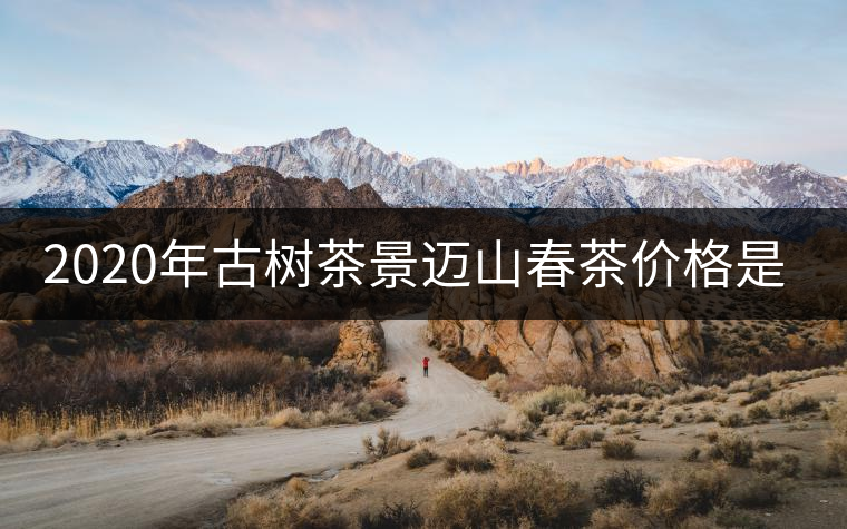 2020年古樹茶景邁山春茶價(jià)格是多少？