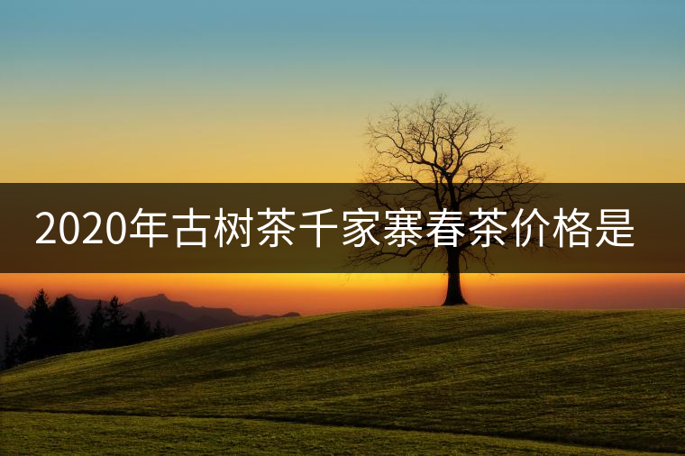 2020年古樹茶千家寨春茶價格是多少？