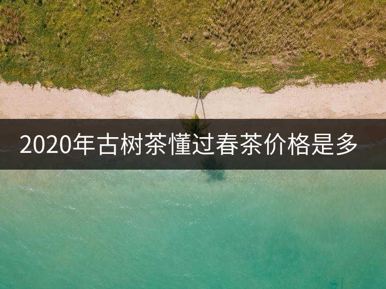 2020年古樹茶懂過春茶價格是多少？