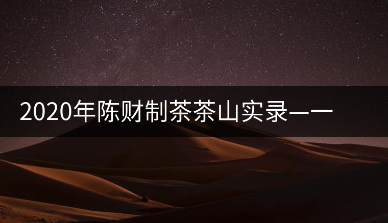 2020年陳財制茶茶山實錄—一手提7山，感受小產(chǎn)區(qū)的奧秘
