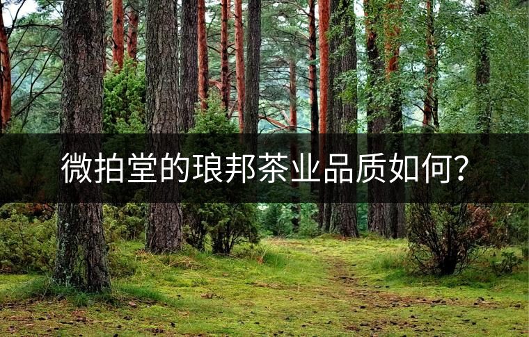 微拍堂的瑯邦茶業(yè)品質(zhì)如何？