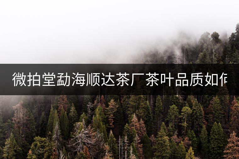 微拍堂勐海順達(dá)茶廠茶葉品質(zhì)如何? 微拍堂勐海順達(dá)茶廠茶葉品質(zhì)如何?